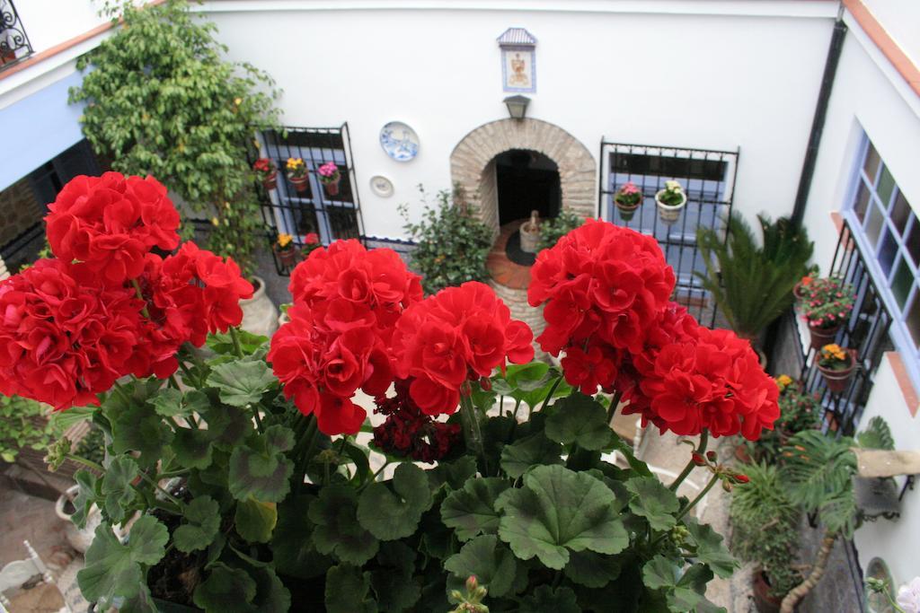 Casa Pepa Córdoba